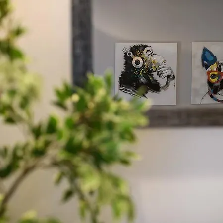 Le Trendy, Plein Centre Avec Climatisation Appartement